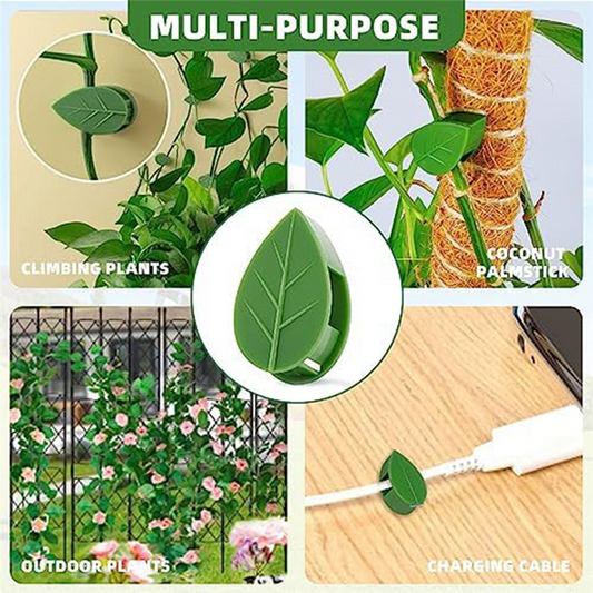 PLANT CLIMBING CLIPS (PACK OF 30)