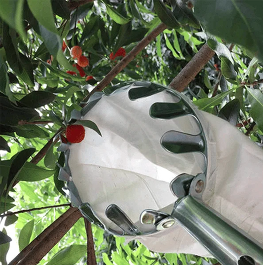 Fruit Picker Bag